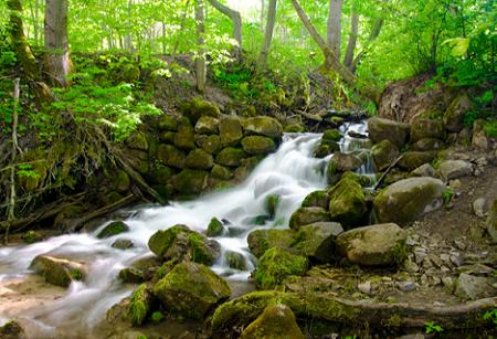 Cascada de TeleAdhesivo